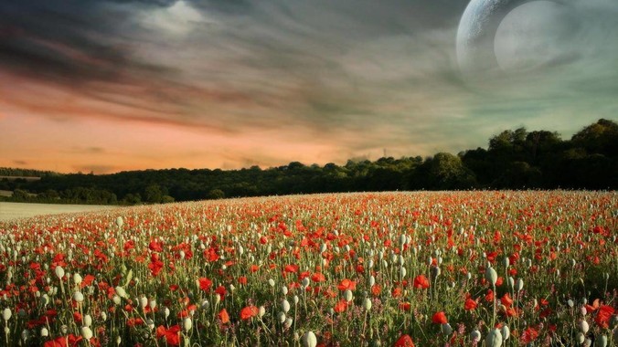 Rust使用？多次传播错误后，怎么定位最开始发生error的地方？